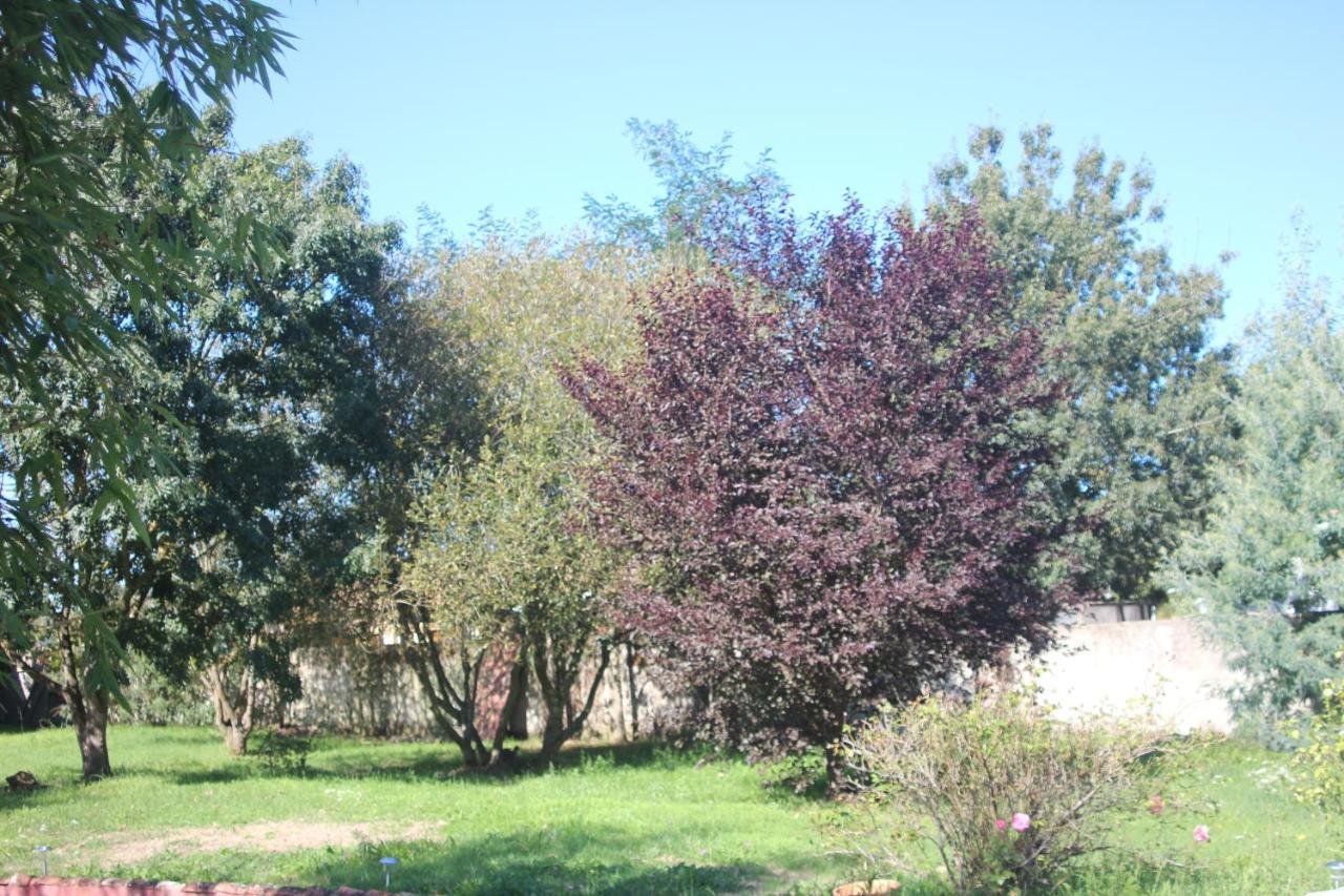 L Entredeux Appartement Saint-Viaud Buitenkant foto